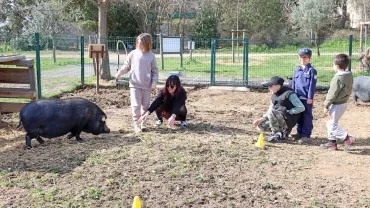 Un groupe d'enfants et leur animatrice sont avec un cochon dans son enclos