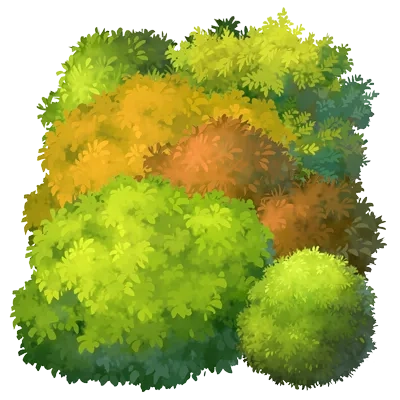 Illustration d'une haie variée