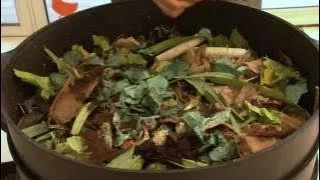 Vue sur un vermicompsteur ouvert rempli de déchets organiques