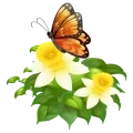Illustration d'un papillon sur une plante avec deux fleurs blanches et jaunes