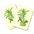 Illustration de deux mêmes cartes à jouer de branche de romarin