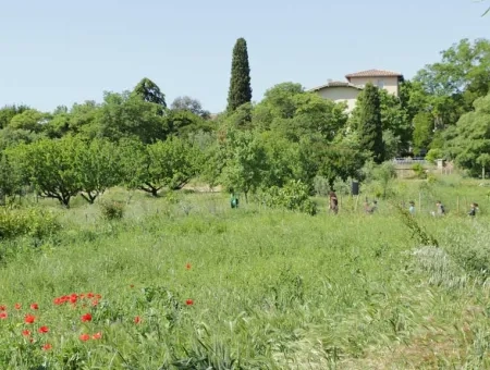 Vue de l'Écolothèque avec des herbes hautes et des coquelicots